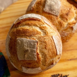 [46316] MINI PANHOCA ITALIANA