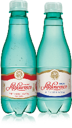 [4248] ÁGUA MINERAL SÃO LOURENÇO - 300ml